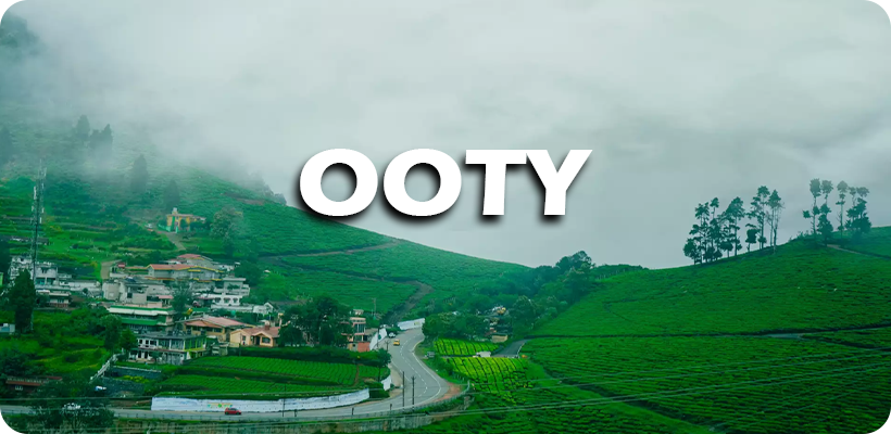 OOTY