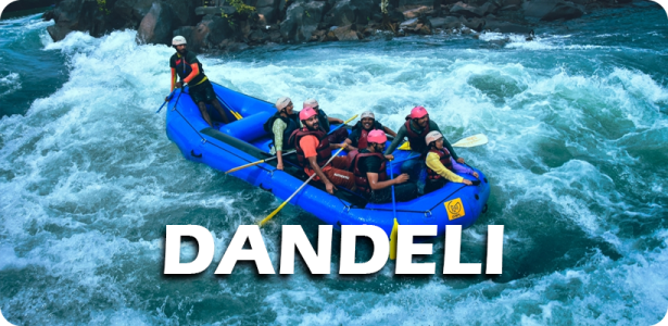 DANDELI