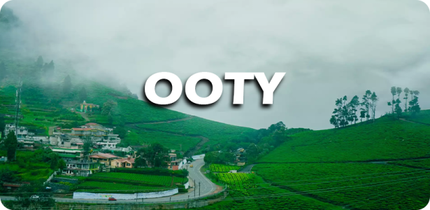 OOTY