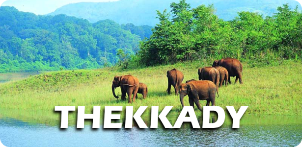 THEKKADY